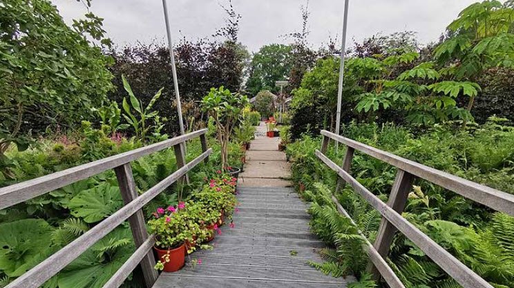 Botanic Garden Zuidas, Netherlands